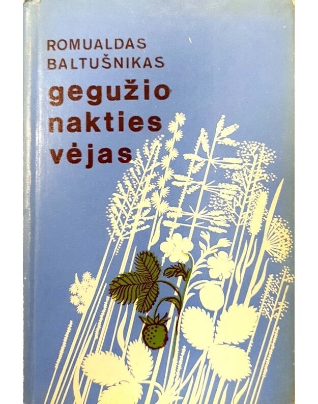 Gegužio nakties vėjas. Apsakymai - Baltušnikas Romualdas 