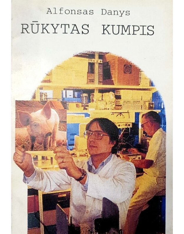 Rūkytas kumpis. Satyrinis romanas - Danys Alfonsas