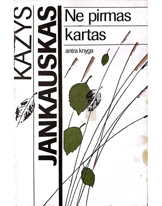 Ne pirmas kartas. Romanas / Antra knyga - Jankauskas Kazys