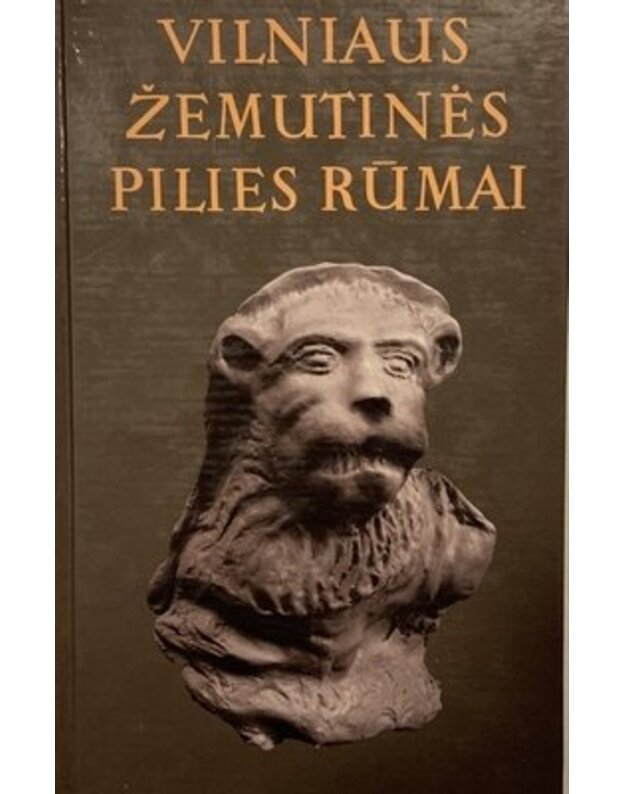 5 t.: Vilniaus žemutinės pilies rūmai. 1996-1998 metų tyrimai / Lietuvos pilys - Urbanavičius Vytautas, ats. redaktorius