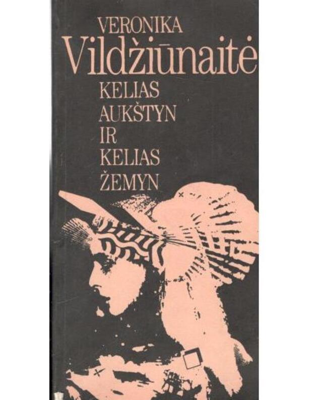 Kelias aukštyn ir kelias žemyn. Eilėraščių poema - Vildžiūnaitė Veronika