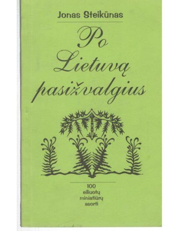 Po Lietuvą pasižvalgius. 100 eiliuotų miniatiūrų asorti - Steikūnas Jonas