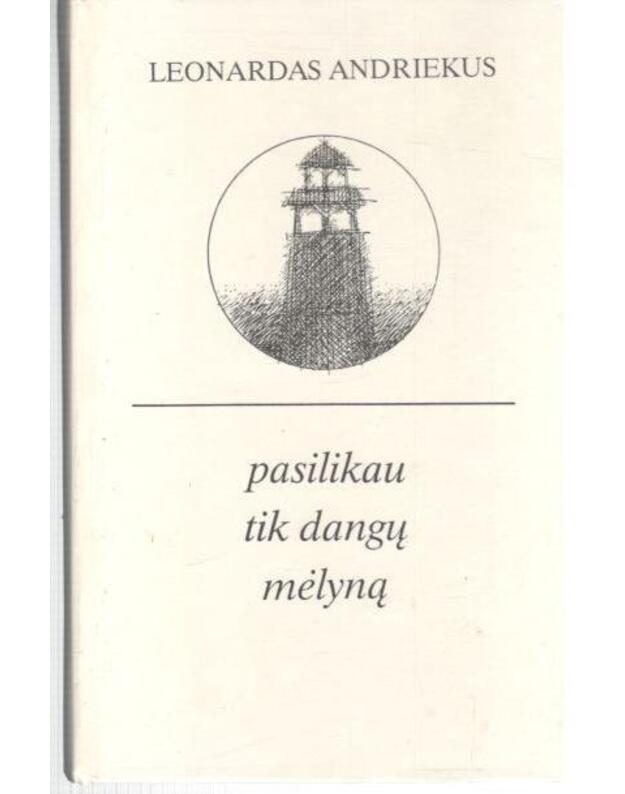 Pasilikau tik dangų mėlyną - Andriekus Leonardas