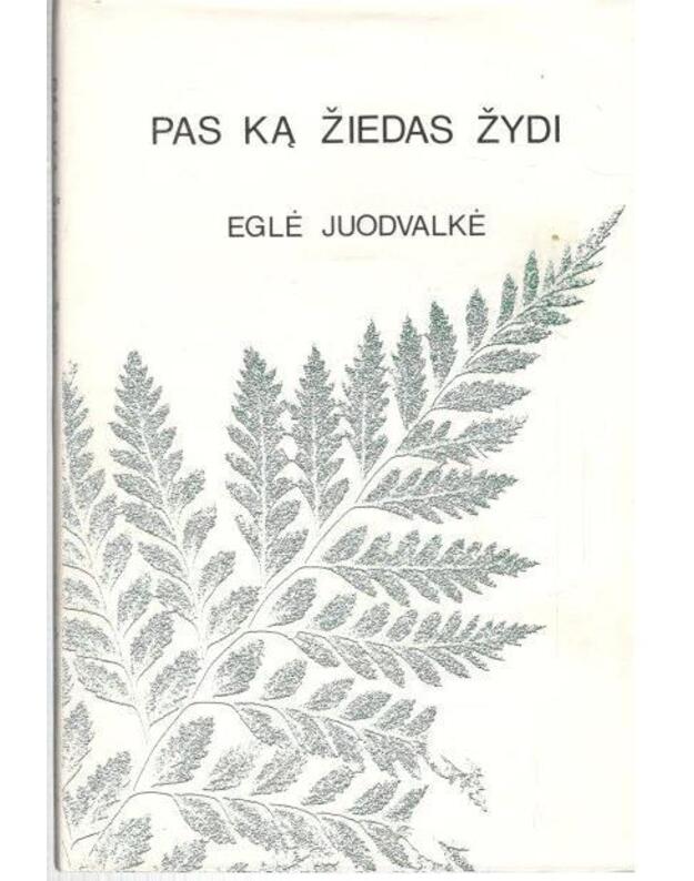 Pas ką žiedas žydi - Juodvalkė Eglė