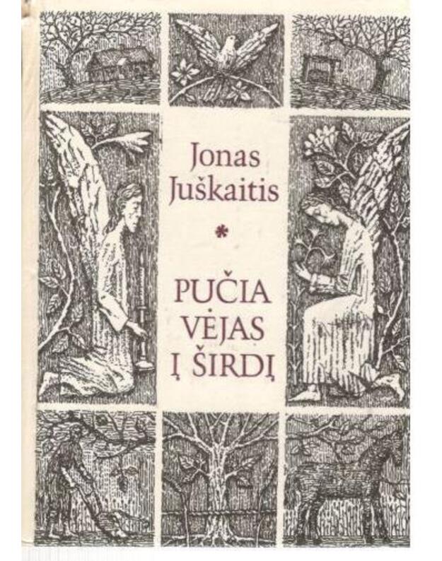 Pučia vėjas į širdį. Eilėraščiai - Juškaitis Jonas