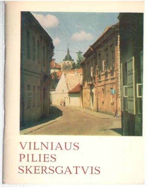 Vilniaus Pilies skersgatvis - Levandauskas Vytautas