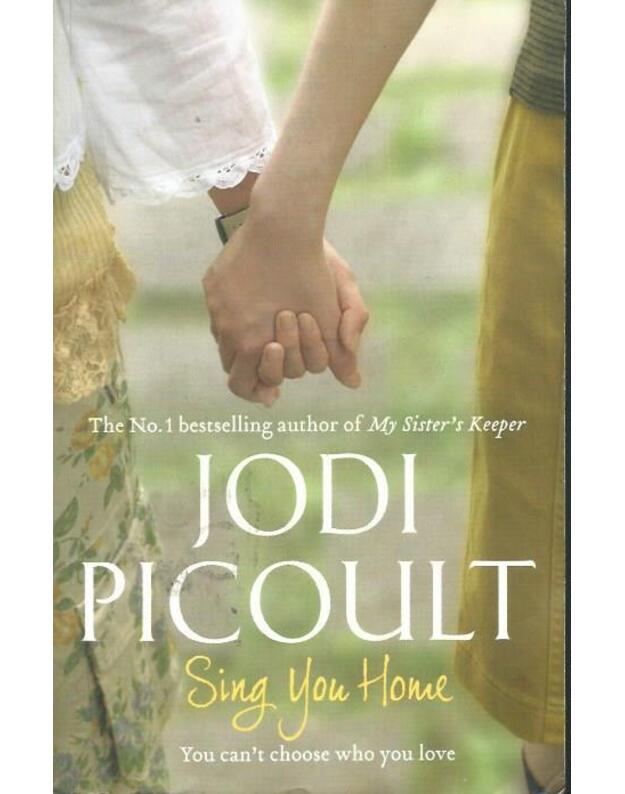 Sing You Home - Jodi Picoult