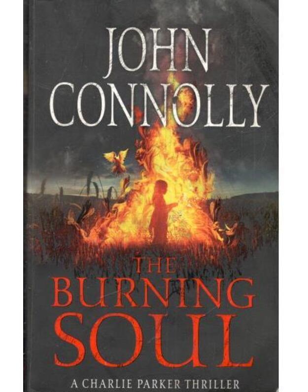 The burning soul - Connolly John