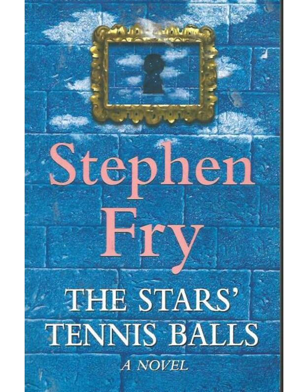 The Stars  Tennis Balls: A Novel - Stephen Fry