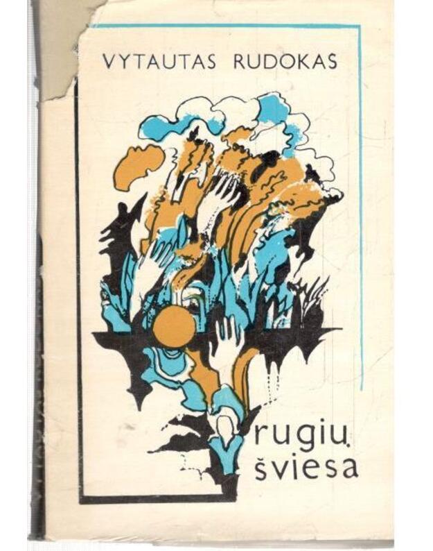 Rugių šviesa - Rudokas Vytautas 