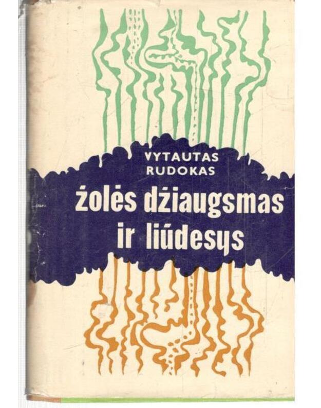 Žolės džiaugsmas ir liūdesys - Rudokas Vytautas 