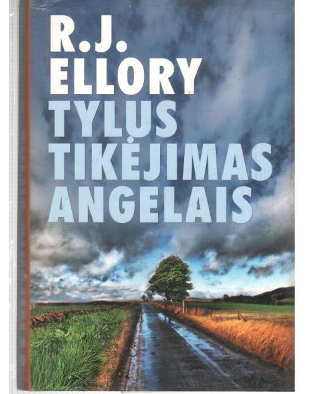 Tylus tikėjimas angelais - Ellory Roger Jon