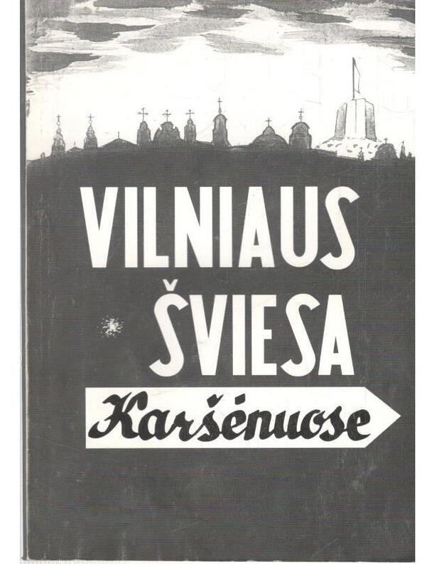 Vilniaus šviesa Karšėnuose. Romanas - Rėkus Vytautas