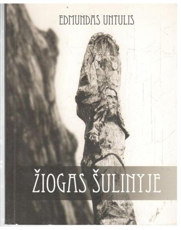 Žiogas šulinyje. Romanas - Untulis Edmundas 