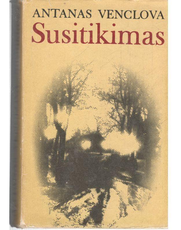 Susitikimas. Apsakymai - Venclova Antanas 