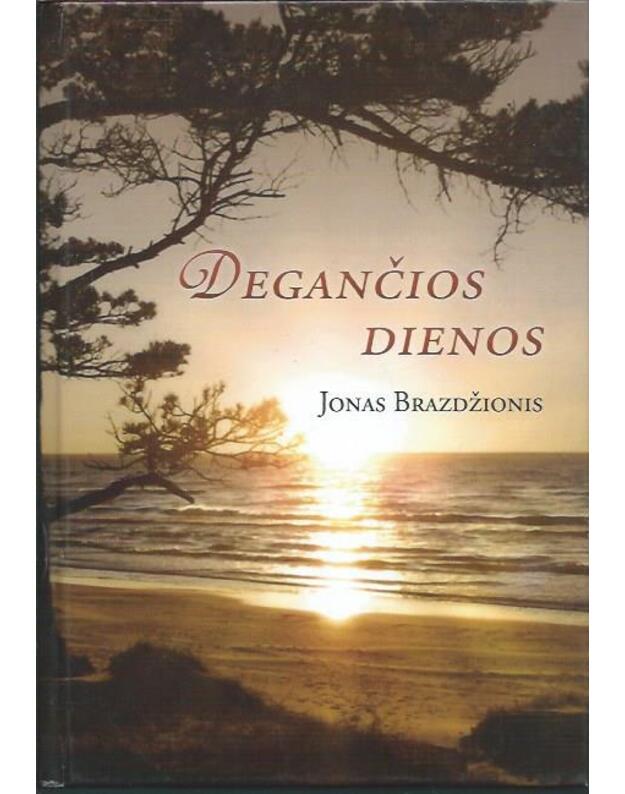 Degančios dienos - Brazdžionis Jonas