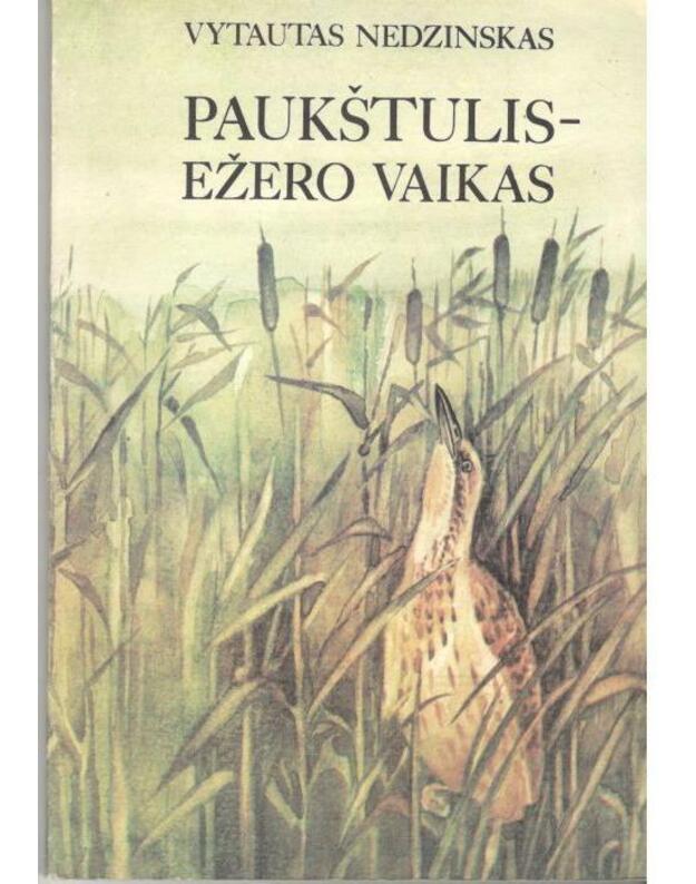 Paukštulis – ežero vaikas - Nedzinskas Vytautas 