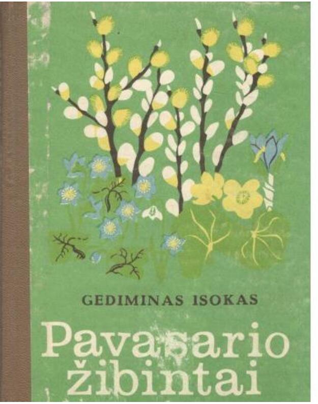 Pavasario žibintai - Isokas Gediminas