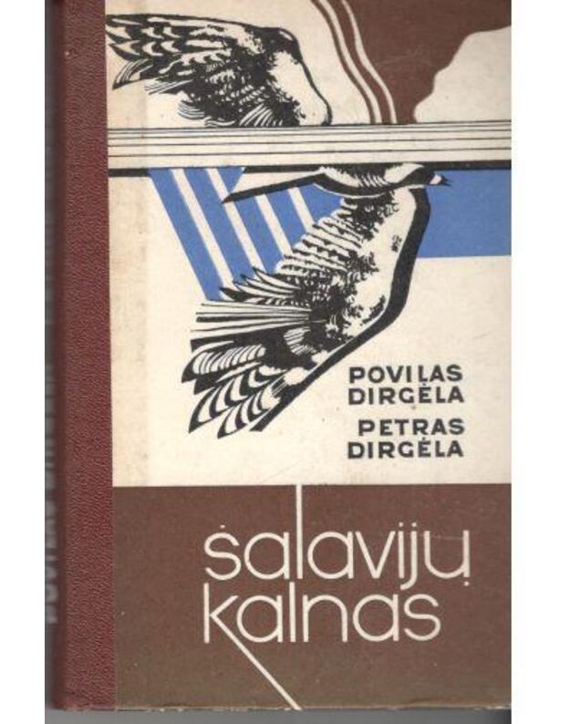 Šalavijų kalnas. Romanas - Povilas Dirgėla, Petras Dirgėla