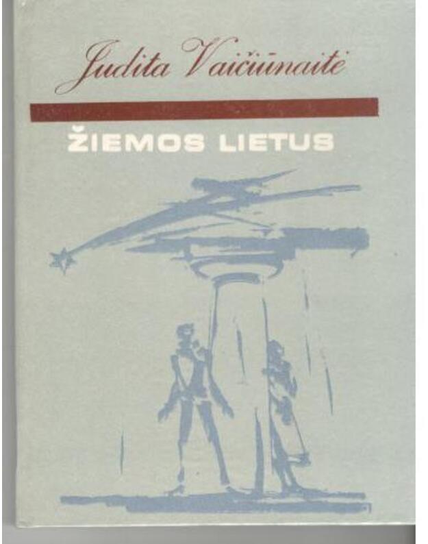 Žiemos lietus - Vaičiūnaitė Judita