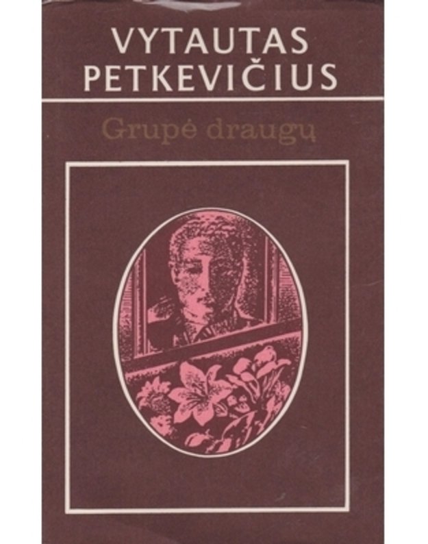 Grupė draugų. Romanas - Petkevičius Vytautas