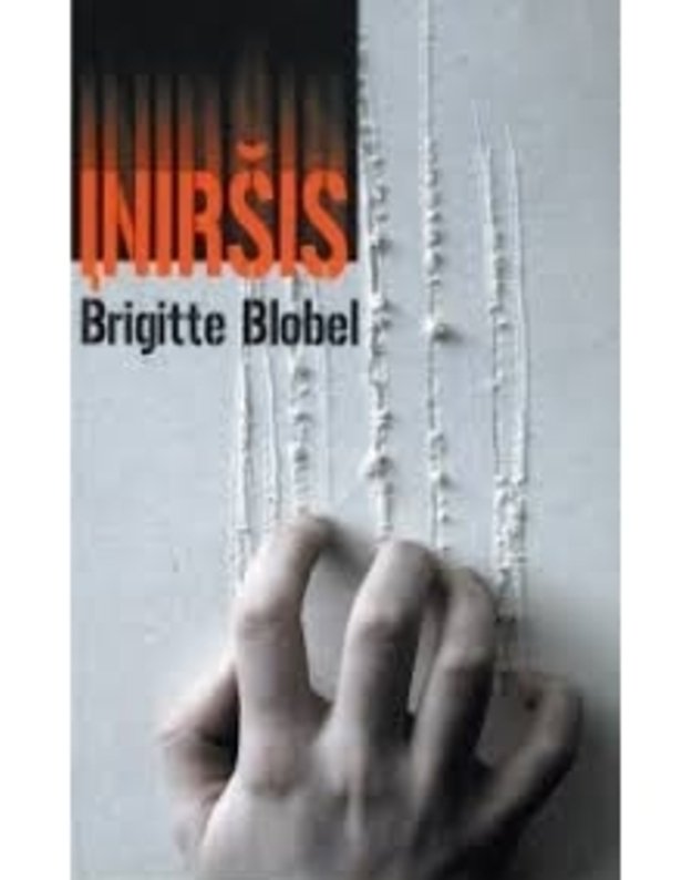 Įniršis. Romanas - Brigitte Blobel