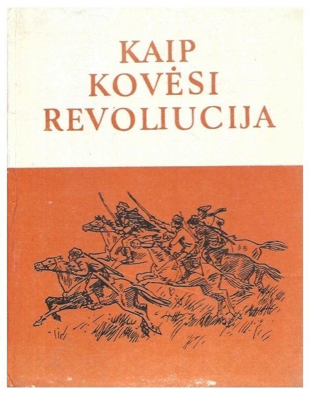 Kaip kovėsi revoliucija. Pilietinio karo dalyvių pasakojimai - sud. A. Nenorokovas 