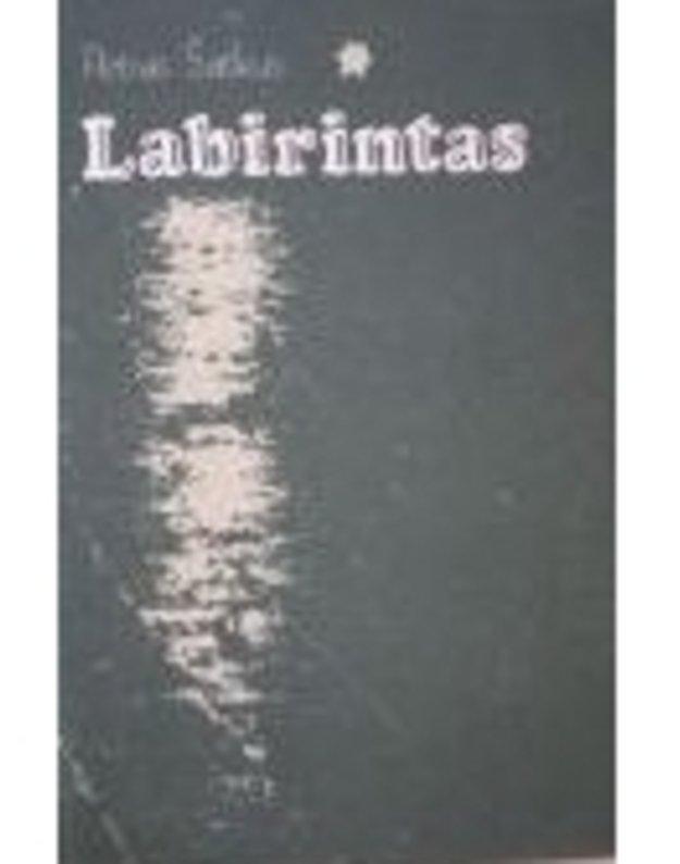 Labirintas. Apsakymai - Šatkus Petras