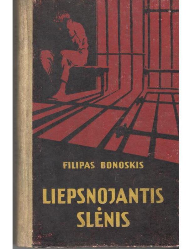 Liepsnojantis slėnis - Bonoskis Filipas 