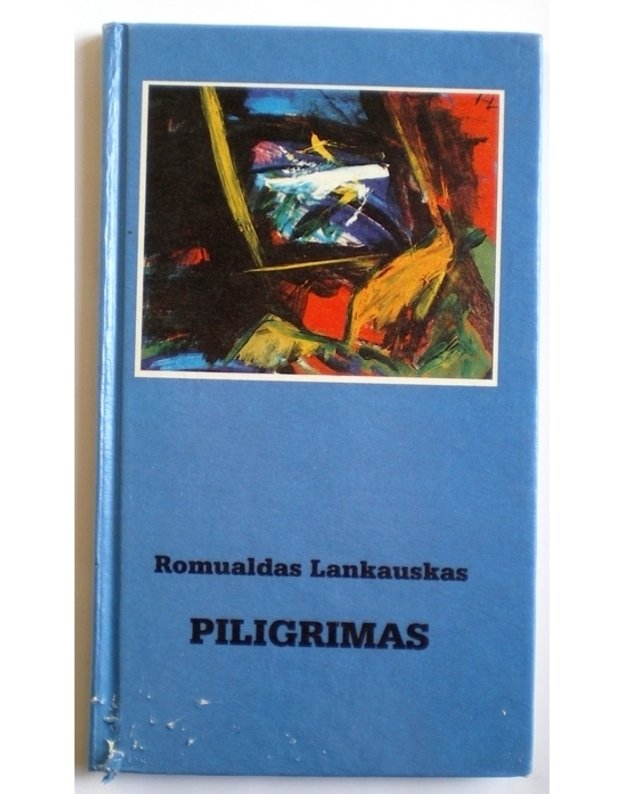 Piligrimas. Romanas - Lankauskas Romualdas