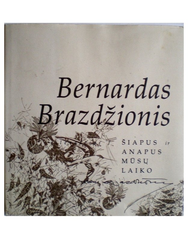 Šiapus ir anapus mūsų laiko. Eilėraščiai - Brazdžionis Bernardas  / iliustravo Eglė Kučaitė