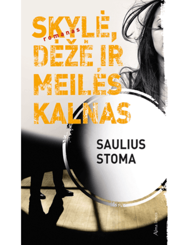 Skylė, dėžė ir meilės kalnas - Saulius Stoma