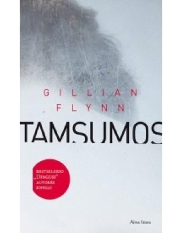 Tamsumos. Romanas - Flynn Gillian 