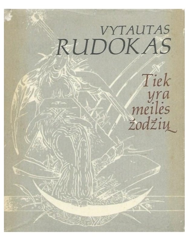 Tiek yra meilės žodžių - Rudokas Vytautas 