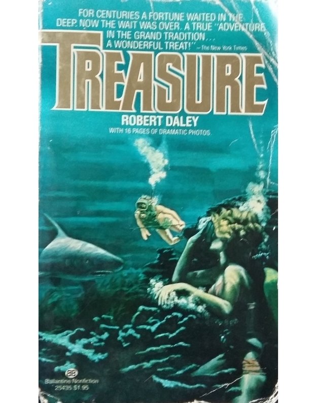 Treasure - Robert Daley