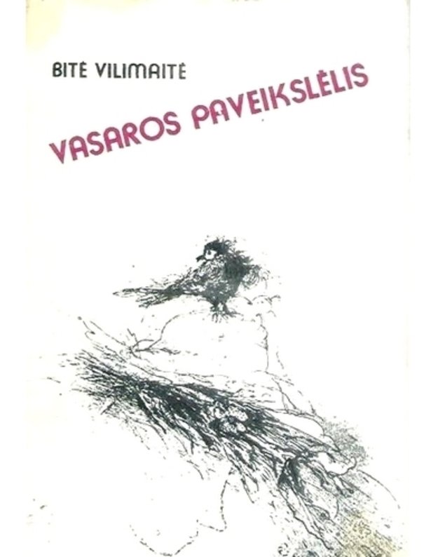 Vasaros paveikslėlis. Apsakymai - Vilimaitė Bitė