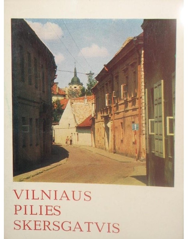 Vilniaus Pilies skersgatvis - Levandauskas Vytautas