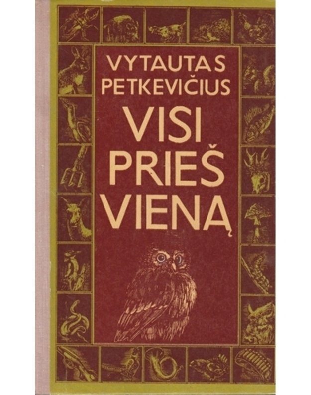 Visi prieš vieną. Apsakymai dideliems, mažiems ir milžinams - Petkevičius Vytautas 