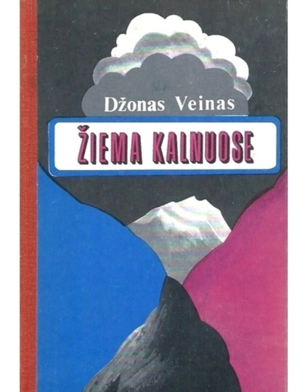 Žiema kalnuose. Romanas - Veinas Džonas