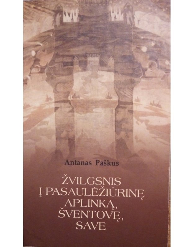 Žvilgsnis į pasaulėžiūrinę aplinką, šventovę, save - Paškus Antanas