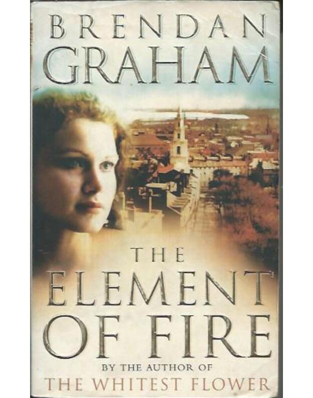 The Element of Fire - Brendan Graham