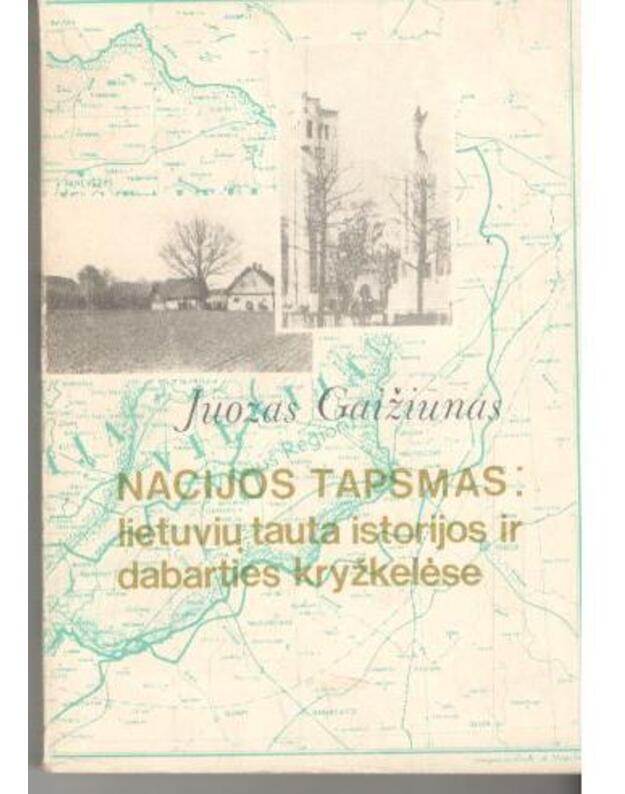 Nacijos tapsmas: lietuvių tauta istorijos ir dabarties kryžkelėse - Gaižiūnas Juozas