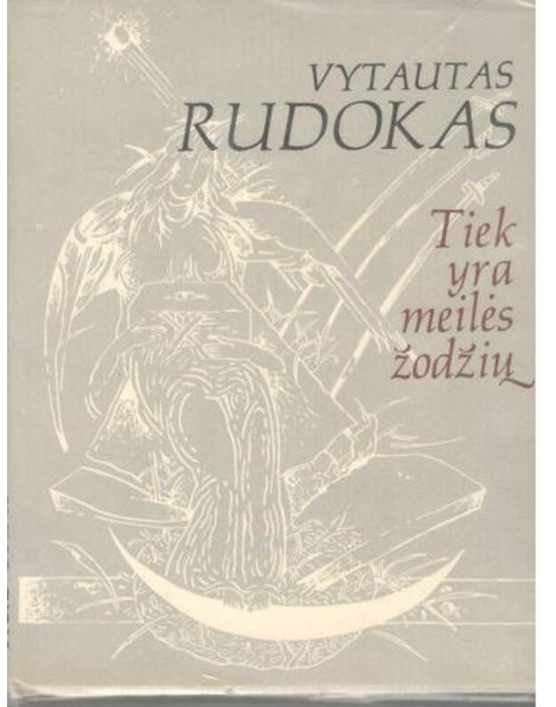 Tiek yra meilės žodžių - Rudokas Vytautas 