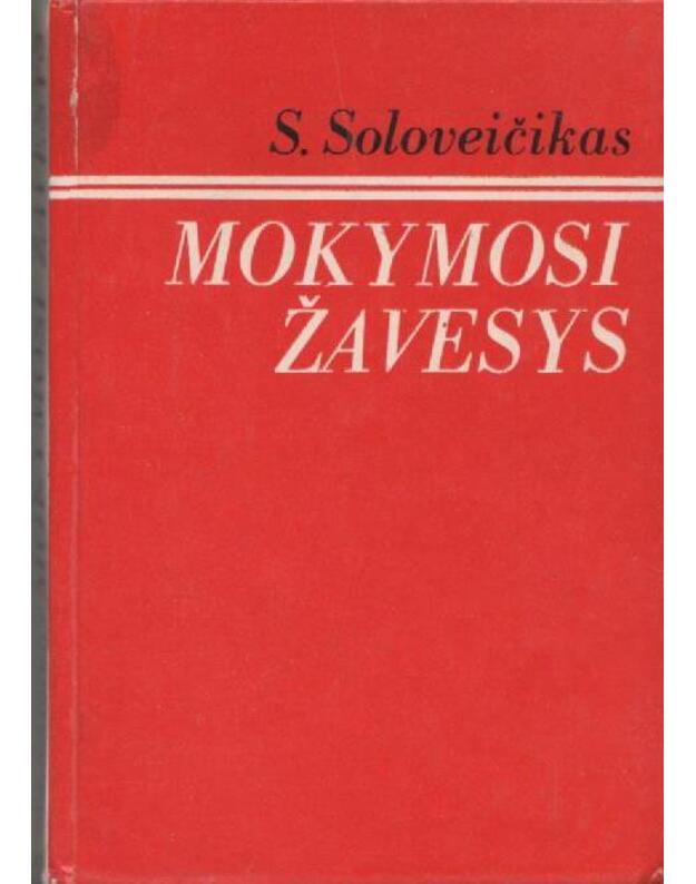 Mokymosi žavesys. Romanas - Soloveičikas Simonas