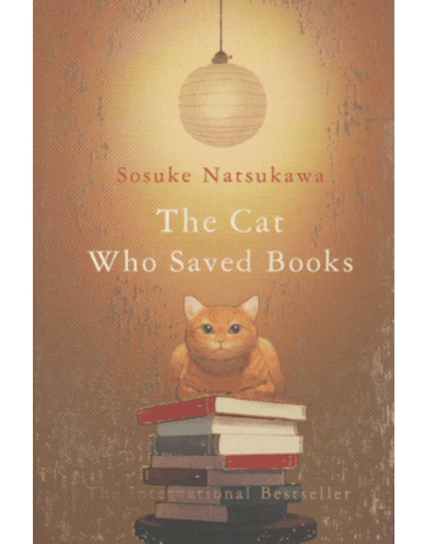 The Cat Who Saved Books - Natsukawa Sosuke