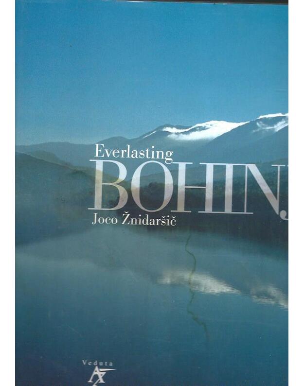 Everlasting BOHINJ - Joco Znidaršič